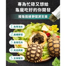 【閃電聯盟】仿真石洞 爬蟲躲避屋 造景裝飾 躲避屋 躲避窩 躲避洞 藏身洞 烏龜爬台 小魚小蝦 守宮 蜥蜴, 1個, S款 (鵝黃色款), 鵝黃色