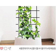 나들이 하우스 지지대 식물 넝쿨지지대 화초넝쿨지지대 화초, 나들이 하우스 지지대 식물 넝쿨지지대 화초넝쿨지지대 화