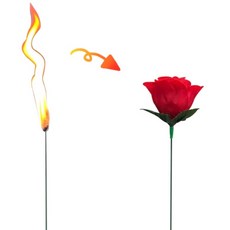 JL매직 토치투로즈 불꽃이 장미꽃으로 순식간에 변하는 마술 간단한 초보 마술 도구, 1개, 해법영상 제공, 초급