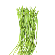 줄콩/롱빈 500g Dau dua 아시아 농장 송소희, 1개
