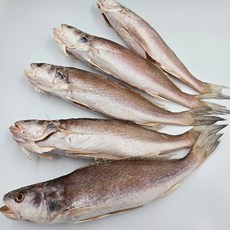 구포시장 부자생선 반건조생선 반찬용 구이용 저염 쫄깃한 민어조기 27cm 30cm 34cm 10마리, 1세트, 2380g