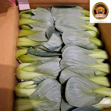 기찬드림 국내산 청경채 특품, 1박스, 1kg