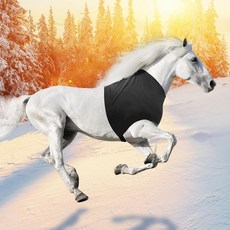 Hilltown 지퍼가 달린 롱 호스 슬링키 후드 - UV 차단 갈기 보호 신축성 있는 원단 쇼 프렙 땀 흡수 및 빠른 건조 라이딩 훈련 및 일상 사용을 위한 블랙, 쇼트 다크 블루