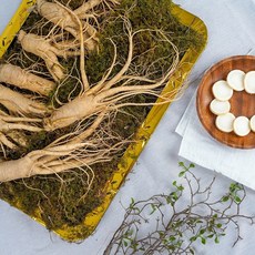 [풍기인삼] 6년근 수삼 선물세트 9호 800g 6-7뿌리, 1개