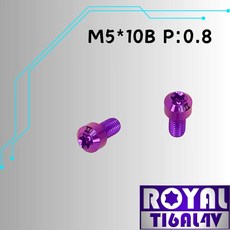 ROYAL M5*10B P:0.8 鈦合金錐形螺絲 皇家紫, 1個