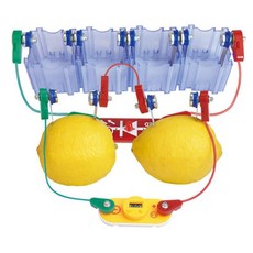 초등학생 과일 전기 회로 과학실험 세트 과학놀이, 1개