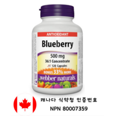 Webber Naturals 안토시아닌 블루베리 슈퍼푸드 강력한 항산화 영양제 500mg 120캡슐 캐나다직배송, 1개, 120정