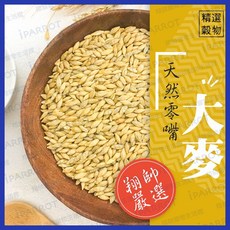 翔帥寵物生活館 大麥 鸚鵡零食 鳥飼料 貓草種植 鸚鵡天然零嘴, 1個, 50g