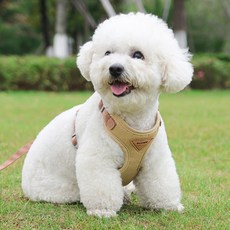 디아쿠아 강아지 고양이 바디핏 하네스 리드줄 세트, 베이지, 1개