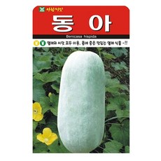 동아 씨앗 10립 동과 동아씨 종자, 1개