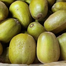 제주에서 직접 키운 레드키위 고당도 국내산 산지직송 달콤한 키위, 1개, 제주 레드키위 중과 2kg