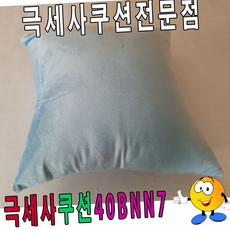 루체트리 극세사쿠션 푹신한쿠션 40BNN7