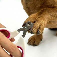 스테인리스 고양이 발톱깎이, 본상품