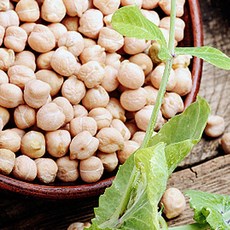 [2025년햇곡] 캐나다산 병아리콩, 5kg, 1개