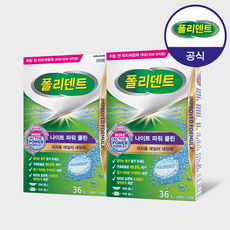 폴리덴트 취침전 틀니세정제, 36개입, 2개