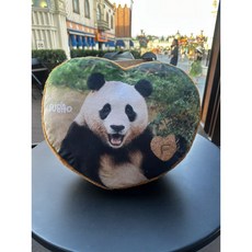 可愛愛寶樂園新品, 福寶窩頭抱枕（現貨