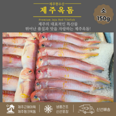 [제주현수산]손질반건조옥돔 택배 산지직송 소, 8개, 소(150g)