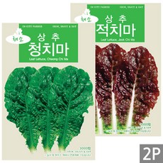 세인화분 국산 적치마 청치마 상추 씨앗 2종 소포장 - 씨 쌈채소, 1세트