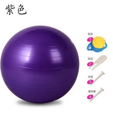 兒童感統訓練瑜伽球, 紫色