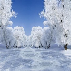 스튜디오배경지 유튜브 설산 설경 촬영 프레임, 2x1.5m, 1개, 형광옐로우