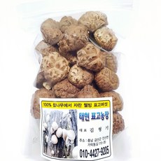 [태현표고농장]국산 참나무재배 말린 건조 건표고버섯 200g 동고특품, 1개