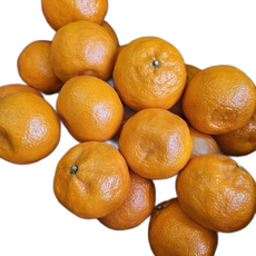 카라향 제주카라향 제주도카라향, 1개, 3KG