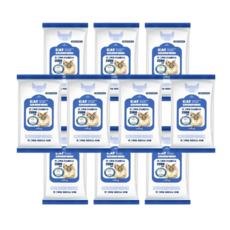 닥터티슈 고양이 그루밍 제로 안심 물티슈, 30개입, 10개