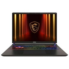 MSI 2025 벡터 16 HX AI 코어Ultra7 지포스 RTX 5070 Ti, 코스모스 그레이, 1TB, 32GB, WIN11 Home, 벡터 16 HX AI A2XWHG-U7 QHD+