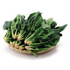 달쿵 국내산 시금치 신선하고 맛있는 시금치, 1박스, 1kg