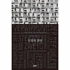 감정의 혼란 - 문학동네 세계문학전집 264, 스테판 츠바이크