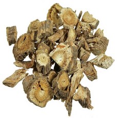 독활 자연산 특품 150g/동의보감촌 지리산 땅두릅(지리산한방식품), 150g, 1개