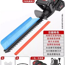 무선 전기 전정기 제거 헤지 잡초 전정톱 트리머 전동, B. 전문가용 단일 블레이드 배터리 2개