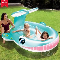 인텍스 돌고래 분수 풀장 수영장 201cm 튜브 여름 물놀이 마당 베란다 정원 아기