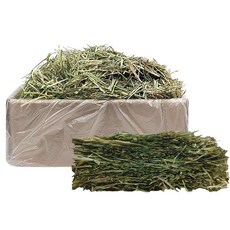 펫츠핸들러 토끼&기니피그 압축 티모시건초 3.5Kg, 1개
