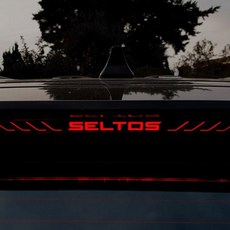 셀토스 보조브레이크마스크 95937PC 1(EA), 라인형 B타입