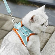 디아쿠아 고양이 강아지 야광 빛반사 벨크로 하네스 리드줄 세트, 민트오렌지, 1개