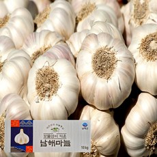 남해군농협 햇 마늘 특등급 상등급 보통급 국산 통마늘 피마늘 남도마늘 제철 채소 저장용 김장 요리 (D), 1박스, 특등급 500g