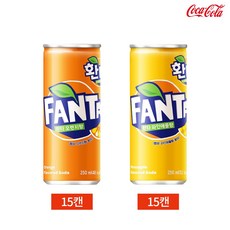 환타 오렌지 파인애플 2종 30캔 세트, 30개, 250ml