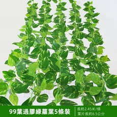 優選樂購 仿真藤條 綠蘿葉裝飾 綠藤藤蔓 假樹葉 塑膠花藤 水管道遮擋 空調遮擋 仿真綠葉花, 99葉過膠綠蘿葉5條, 1個