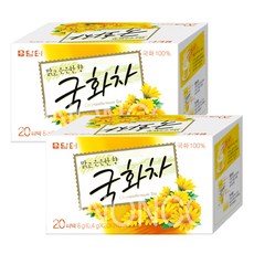 담터 국화차 20T 티백 꽃차 무배, 400mg, 20개, 2개