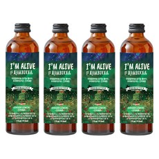 I'M ALIVE KOMBUCHA 康普茶, 4瓶, 315ml