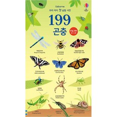 199 곤충 - 199 우리 아이 첫 낱말 사전 (양장), 상품명