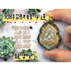 龍婆覺 必達蜜蜂, 1個, 黑金防水殼