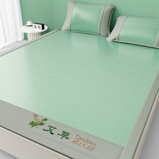 DIU 夏季爆款艾草冰絲涼蓆夏天裸睡母嬰級空調席可機洗摺疊牀笠軟席子, 凝膠注入記憶棉, 牀單款『艾草養身席-綠色』