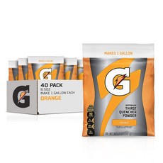 게토레이 갈증 해소 파우더 파우치당 1갤런 제조 40개입 Gatorade Thirst Quencher Powder Makes 1 Gallon/Pouch 40 Count O, 1개, 240g