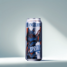 클룹 에너지드링크 에반게리온 스프린트 에너지드링크 시트러스, 48개입, 500ml