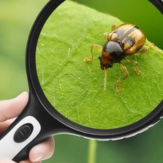 고배율 확대경 독서 시력보호 휴대용 원형 렌즈 밝은 조명, 단품, 1개