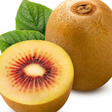 굿피플 제스프리레드키위 루비레드키위 kiwi 래드키위, 1박스, 제스프리 루비레드키위 500g 중과