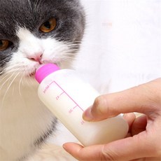 정보다모아샵 애견 애묘 젖병 세트 수유세트, 60ml, 1개