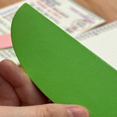 과일모양자 키위 디자인 15cm 자